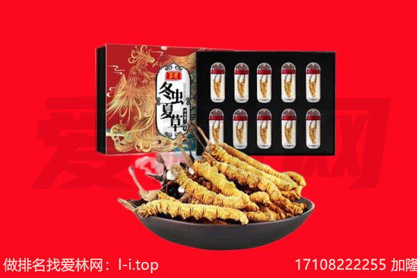 可克达拉市回收虫草.jpg